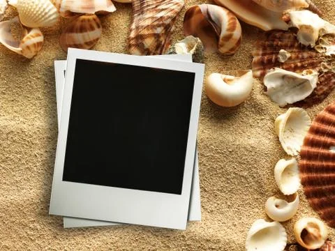 Picture frame on shells and sand background 스톡 사진