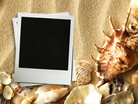 Picture frame on shells and sand background Stock Photos