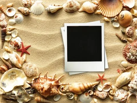 Picture frame on shells and sand background Stock Photos