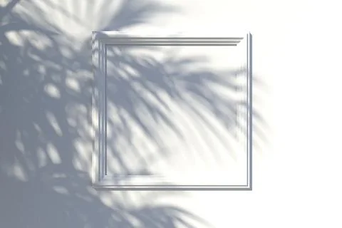 Picture frame on the wall and a falling shadow from a tree on it. 3d renderin Stock Photos
