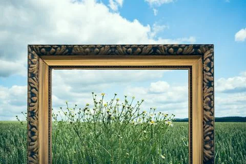 Picture Frames in nature III An old Picture Frame in nature Copyright: xZo... Stock Photos