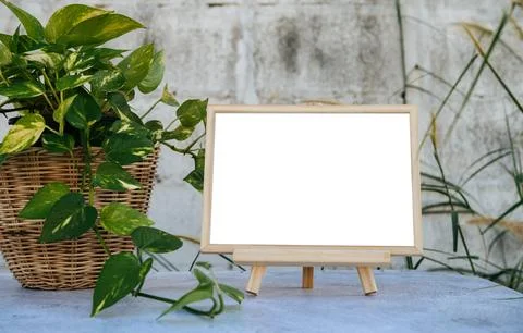 Picture frames placed on a cement table and small trees on the sides. Fotos Stock