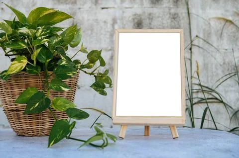 Picture frames placed on a cement table and small trees on the sides. Fotos Stock