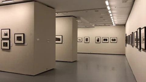 Picture gallery Stock Footage 86216999