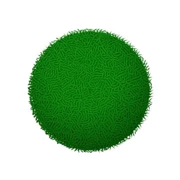 Picture of grass Stock Illustration