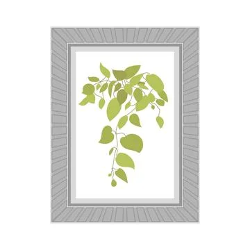 Picture with gray frames and depicting an ornamental plant. Isolated. Flat st 스톡 일러스트
