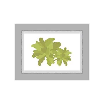 Picture with gray frames and with a non-flowering plant. Isolated. Flat style Stock Illustration