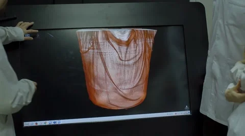 The picture of the human body Stock Footage 67463355