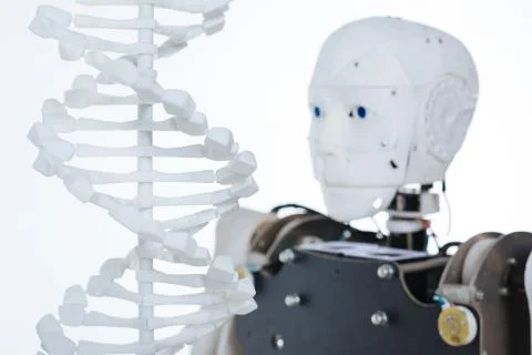 Picture of human genetic code and the robot 库存照片