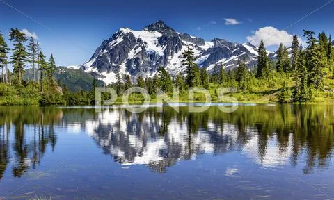 Picture lake evergreens mount shuksan washington usa Stock Photos