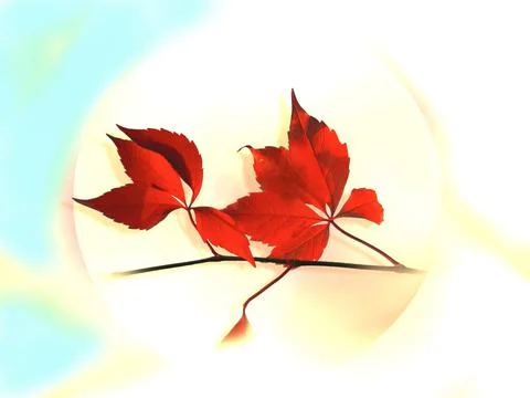 Picture with leaves Illustrazione stock