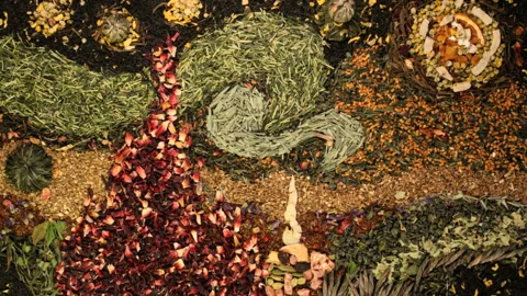 Picture made from different varieties of tea. Painting animation. Video stock 86533788