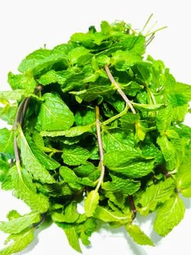 A picture of mint leafs Stock Photos