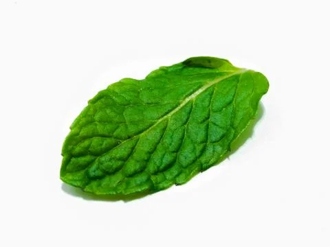 A picture of mint leafs Stock Photos