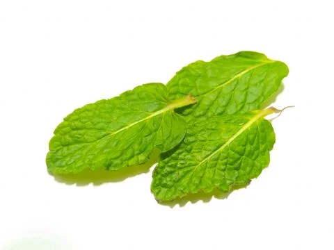 A picture of mint leafs Stock Photos