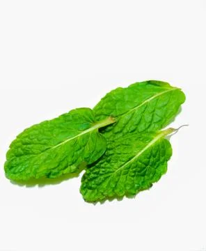A picture of mint leafs Stock Photos