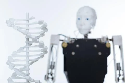 Picture of the model of human DNA 스톡 사진