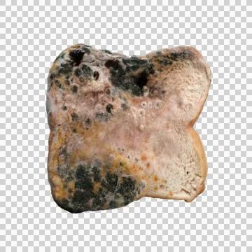 Picture of moldy bread On the ground, isolate Stock Photos