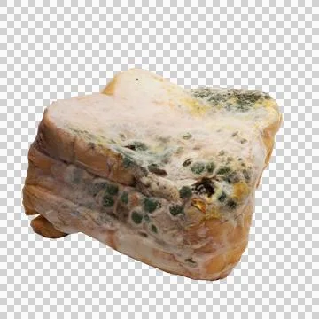 Picture of moldy bread On the ground, isolate Stock Photos