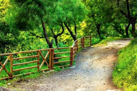 In the picture - a path in a dense forest in the mountains Stock Photos