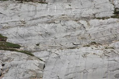 A picture of a pattern on a rock. Stock Photos