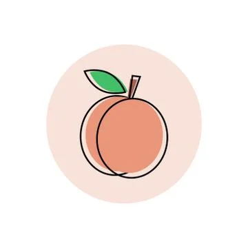 Picture of peach on a white background. Vector illustration Stock Illustration
