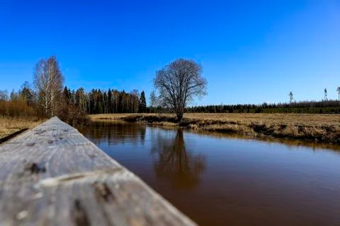 Picture Stock Photos