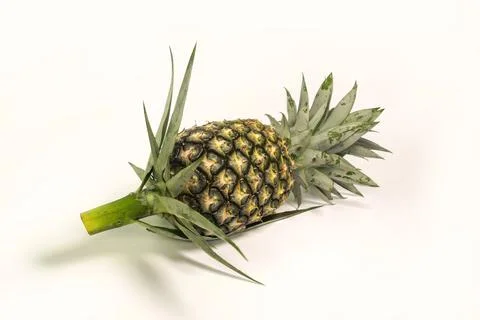 Picture of pineapple on a white background. Stock Photos