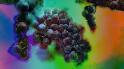 A picture for a poster or label that emotionally depicts the taste of grapes Stock Illustration