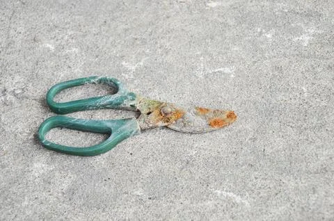 Picture of scissors for cutting branches, not in rusty condition and very old Stock Photos