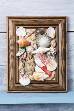 Picture of seashells Stock Photos