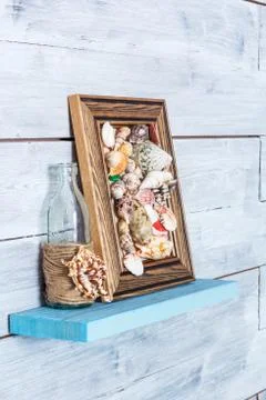 Picture of seashells Stock Photos