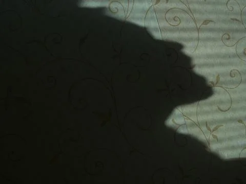 Picture of a shadow Stock Photos