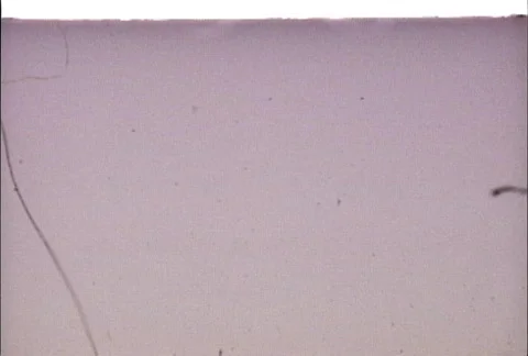 Picture Start 20 - NTSC Stock Footage