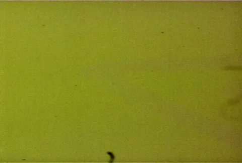 Picture Start 35 - NTSC Stock Footage 124256