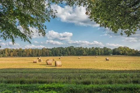 Picture of straw bales at the farm field with blue sky and green trees Stock Photos