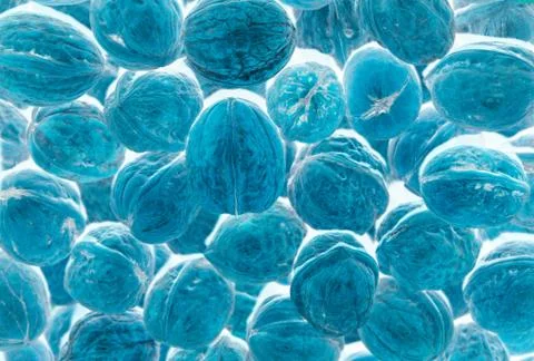 A picture of sweets Stock Illustration