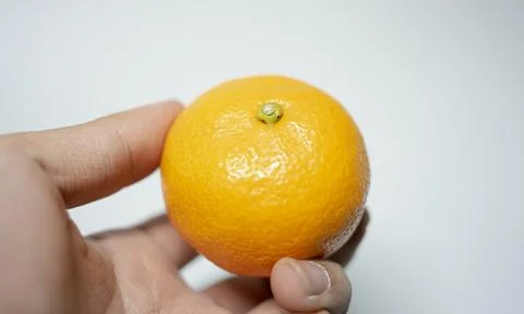 A picture of tangerines inside the studio Stock Photos