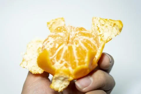 A picture of tangerines inside the studio Stock Photos