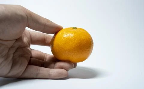 A picture of tangerines inside the studio Stock Photos