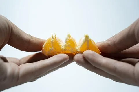A picture of tangerines inside the studio Stock Photos