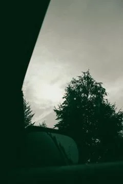 Picture of a tree from inside a car Stock Photos
