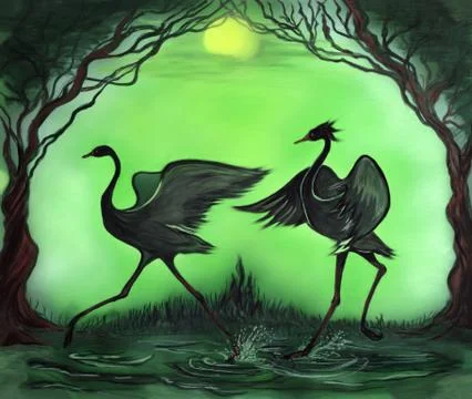 Picture of two black cranes dancing in water at night Ilustração Stock