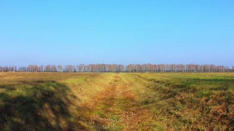 Pictureque view to a dry brown field Stock Footage 123412082