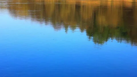 Pictureque view to the wide river Stock Footage 123411783