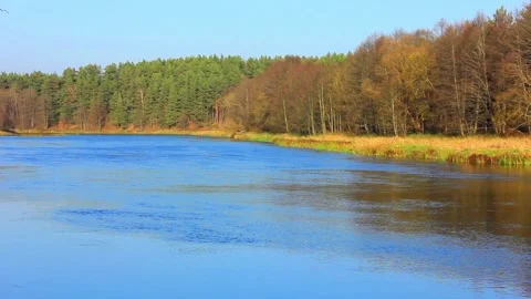 Pictureque view to the wide river Stock Footage 123411803