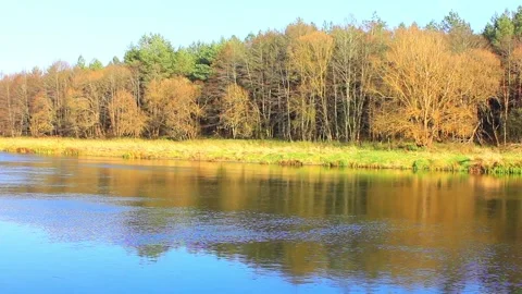 Pictureque view to the wide river Stock Footage 123411810