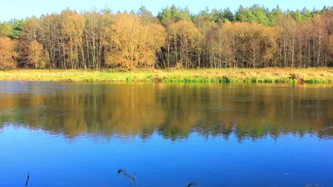 Pictureque view to the wide river Stock Footage 123411829