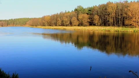 Pictureque view to the wide river Stock Footage 123411903