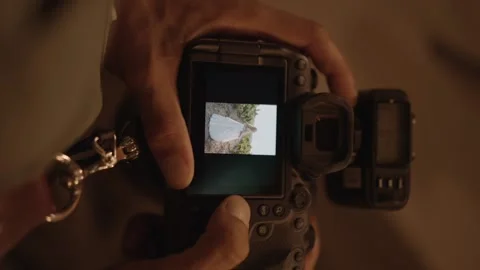 Pictures of a bride in the field on camera Видео 235941885